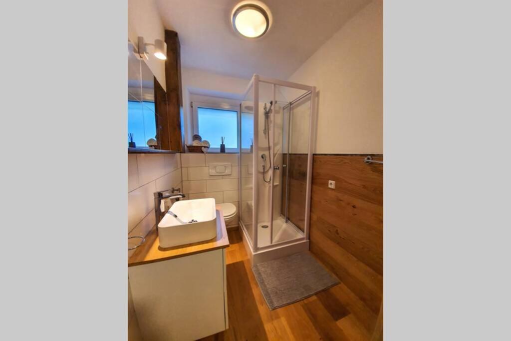 Tiny Kozma Apartment بودينسدورف المظهر الخارجي الصورة